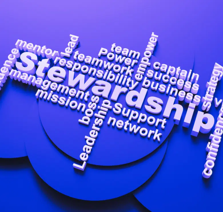 the word "stewardship" in a word cloud with related phrases and words